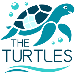 THE TURTLES